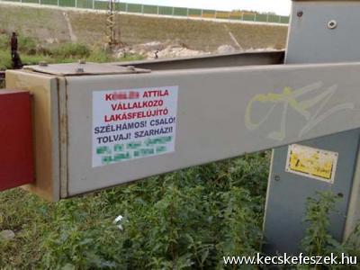 Elgedettsg