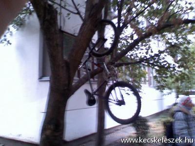 Mskor zrd le a biciklit