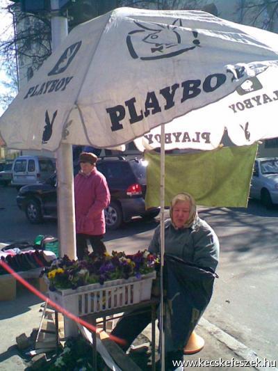 Playboy naperny