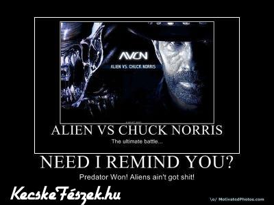 Alien vs Chuck Norris