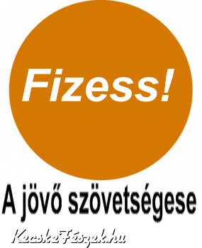 Fidesz mskpp