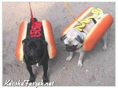 Egy pr hotdog