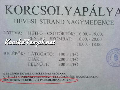 Korcsolyaplya