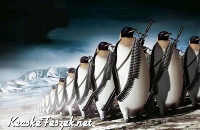 Harcias pingvinek