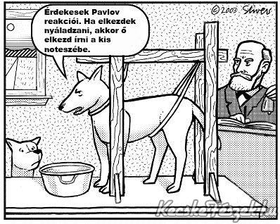 Pavlov kutyja