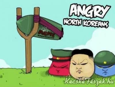 Angry North Koreans