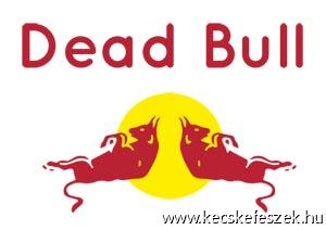 DEAD Bull