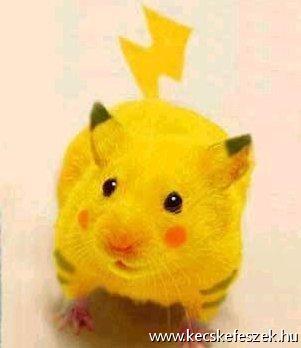 Hrcsg Pikachu