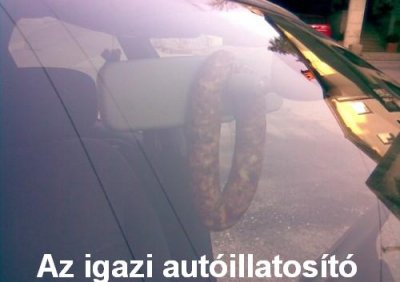311. vicces kp