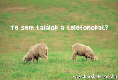 s te sem tallod?